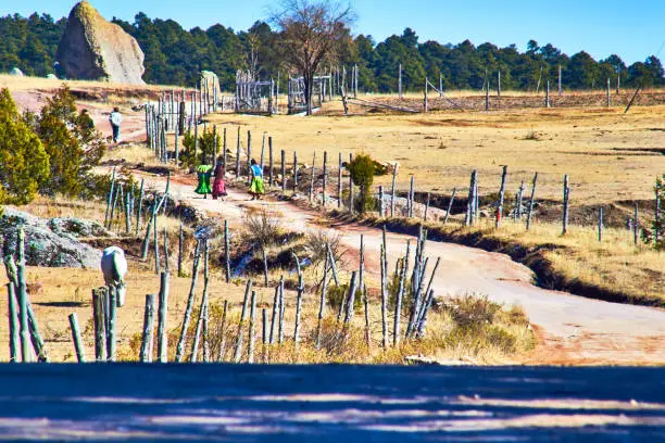 Raramuris caminando en un sendero atraves de un prado, cerca de troncos de madera, rocas gigantes, sierra tarahumara en creel Chihuahua