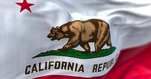 Close-up view of the California State flag waving. California flag is also the Bear Flag. Rippled Fabric. Textured background. Selective focus. Realistic 3d illustration