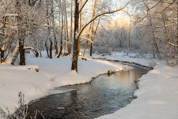 istock a wonderful sunny winter day, trees covered with white frost, a small river 1454030333