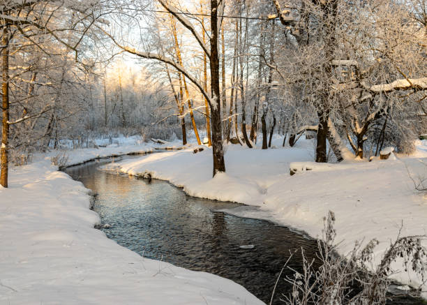 istock a wonderful sunny winter day, trees covered with white frost, a small river 1454030384