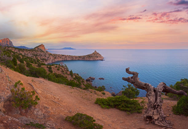 istock Coastline of Novyj Svit reserve (Crimea, Ukraine) 1454031047
