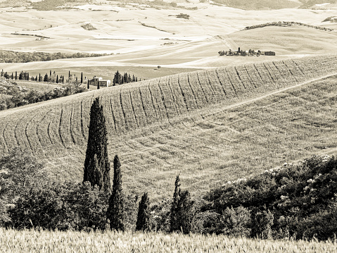 View of the countryside by the town of Pienza in Tuscany Italy
