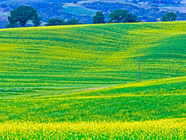 región toscana de italia - 16022 fotografías e imágenes de stock