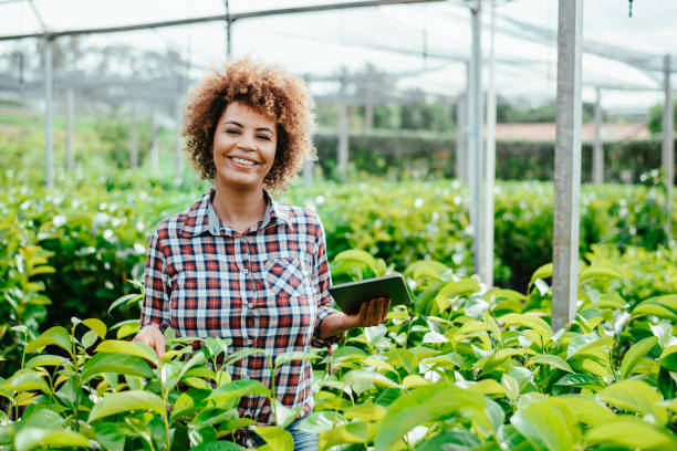 istock Woman checking crops in greenhouse using digital tablet 1454032822