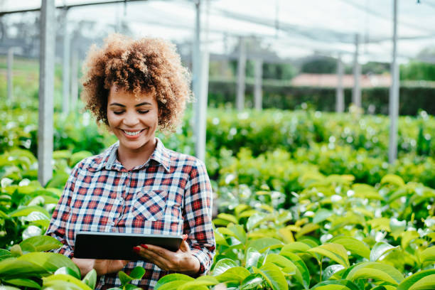 istock Woman checking crops in greenhouse using digital tablet 1454032857