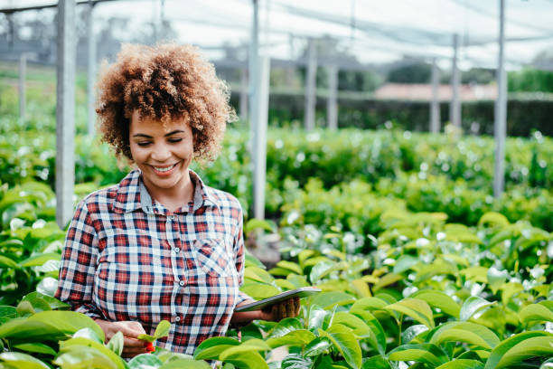 istock Woman checking crops in greenhouse using digital tablet 1454032877