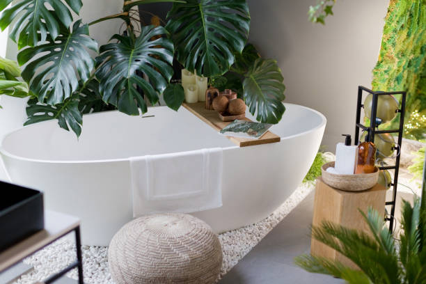 istock White bathroom with bathtub, green plants 1454034601