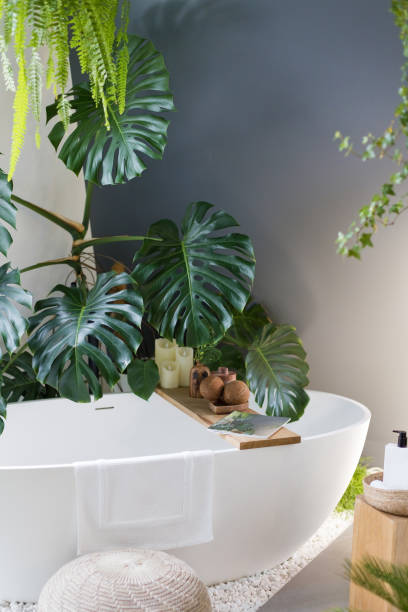 istock White bathroom with bathtub, green plants 1454034617