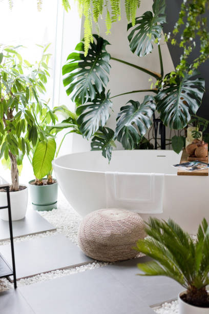 istock White bathroom with bathtub, green plants 1454034641