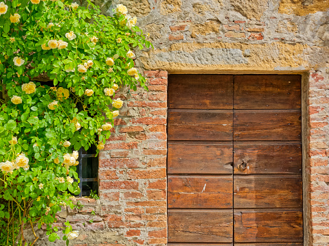 Old wooden door, Kastav, Croatia