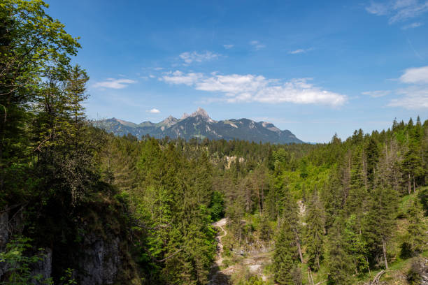 아름다운 화창한 날에 archbach 협곡을 통해 gehrenspitze 산을 바라 봅니다. - gehrenspitze 뉴스 사진 이미지