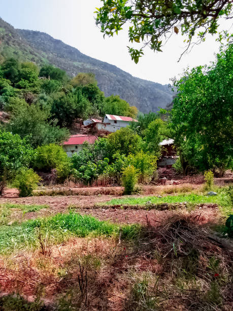 istock Some houses in the countryside 1454037808