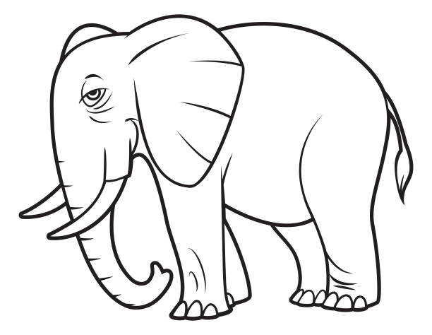 Black And White Elephant vector art illustration