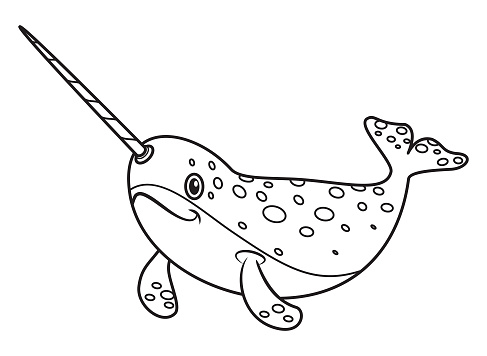 Black And White Narwhal