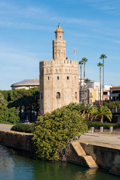 the gold tower in andalusia, seville, spain - seville sevilla torre del oro tower imagens e fotografias de stock