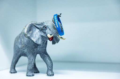 A large toy elephant carrying a symbolic colorectal cancer wristband labeled \