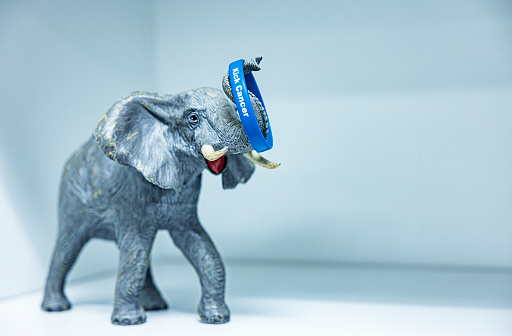 Beauty elephent statue from Thailand temple isolate on white background