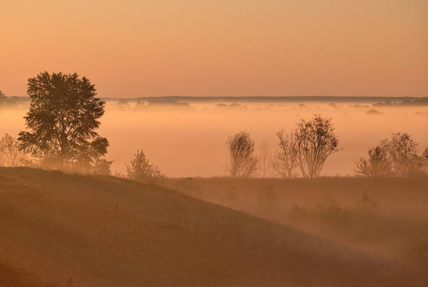 istock Foggy dawn on the field 1454039898