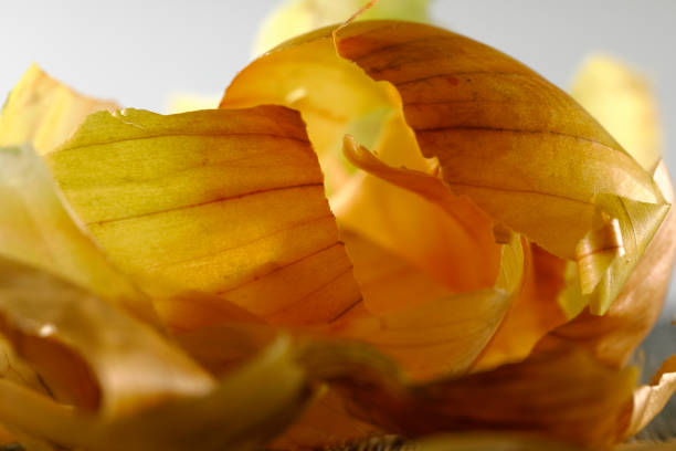 There were only pieces of peel left on the heap after peeling the onion