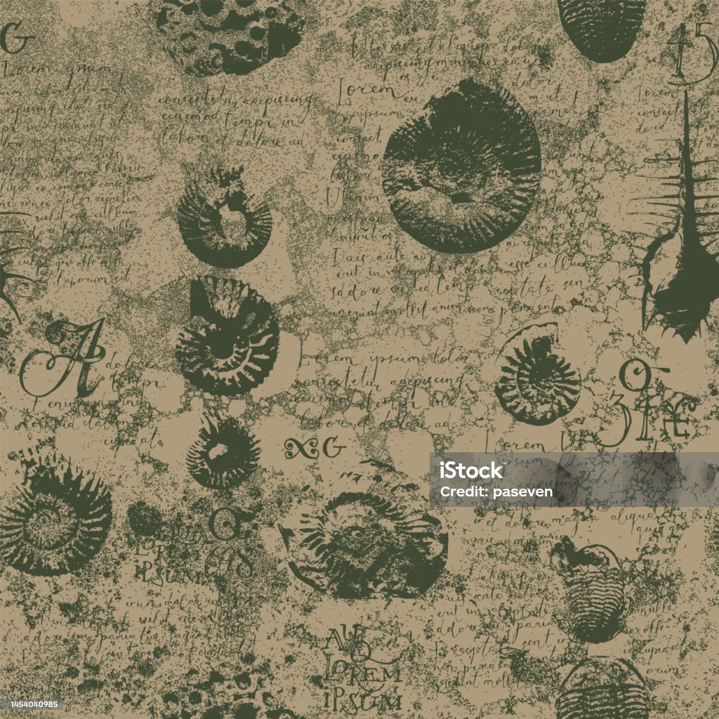 Ammonite Shell Pattern Seamless Pattern Background With Imprint Of Ancient Ammonite Shells ...