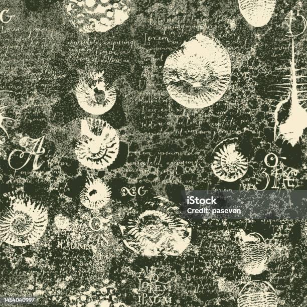 Ammonite Shell Pattern Seamless Pattern Background With Imprint Of Ancient Ammonite Shells ...