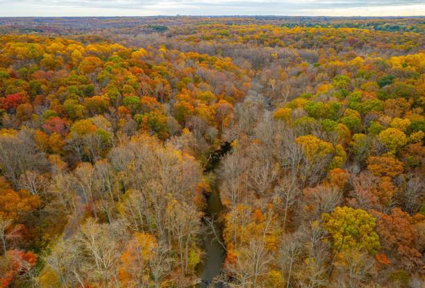 istock Aerial shot of fall foliage in a forest. 1454041204