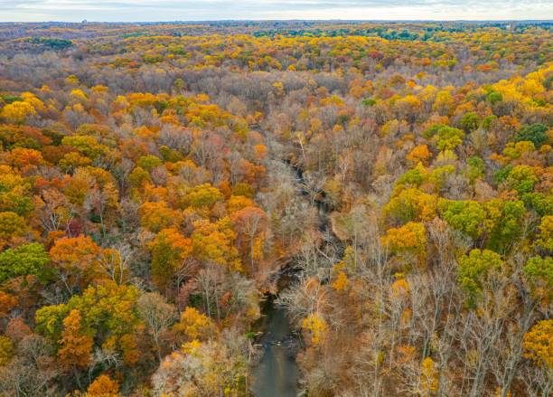istock Aerial shot of fall foliage in a forest. 1454041208