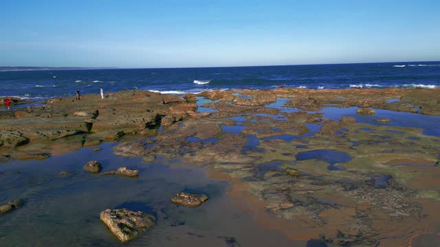 Drone footage through a flock of seagulls in an Australian coast during daytime