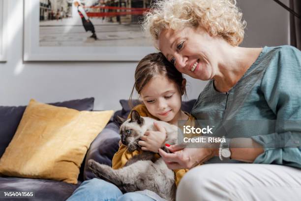 Senior Woman And Her Granddaughter Taking Care Of A Cat Stock Photo - Download Image Now