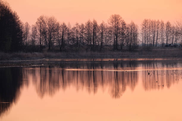 amanhecer no lago - рассвет - fotografias e filmes do acervo