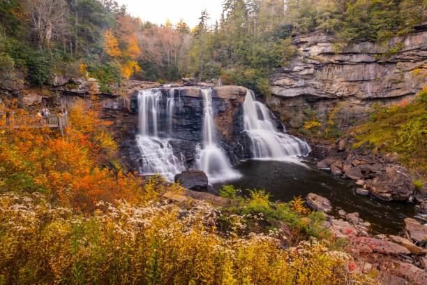 istock Fall foliage at Blackwater Falls, West Virginia. 1454043418