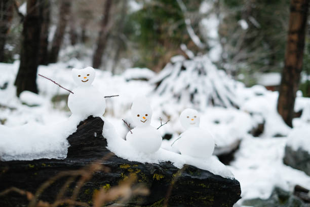 happy three snowman make in forest . winter background.