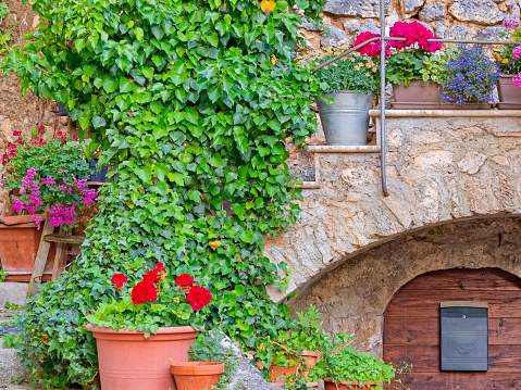 Flower garden features found in the town of Santo Stefano di Sessanio in Abruzzo Italy