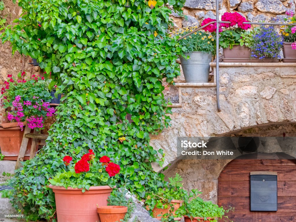 Abruzzo region of Italy Flower garden features found in the town of Santo Stefano di Sessanio in Abruzzo Italy Decoration Stock Photo
