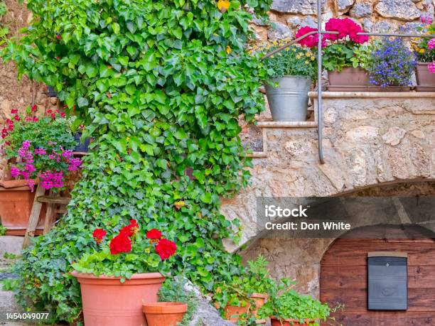 Abruzzo Region Of Italy Stock Photo - Download Image Now - Decoration, Eclectic Style, Flower
