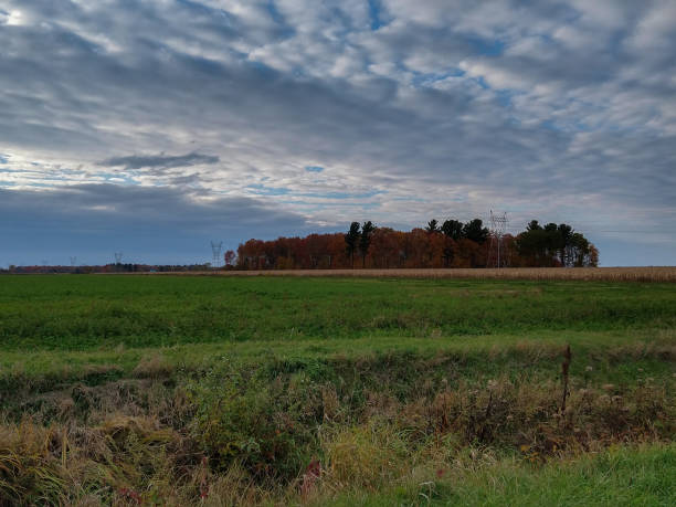istock Life in the countryside during the harvest 1454051689