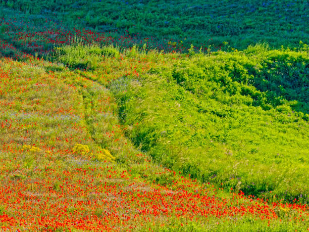 istock Abruzzo region of Italy 1454052893