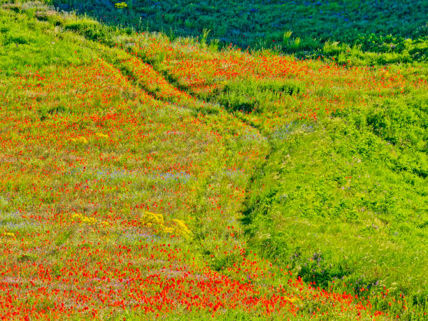 istock Abruzzo region of Italy 1454052913