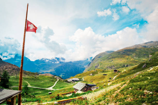 istock Panoramic view of alpine meadow 1454053556