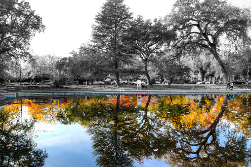The beautiful half grayscale shot of the autumn park with the reflection in the lake.