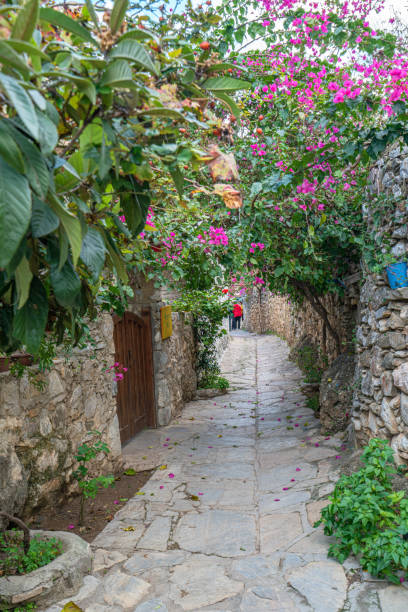 Datça with the old stone houses are covered in brightly colored bougainvillea bushes stock photo