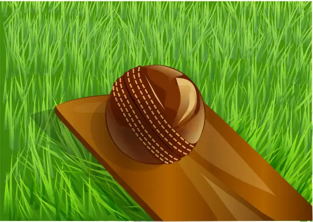 Vector illustration of cricket vector illustration