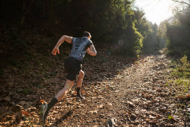 atleta masculino correndo cross-country no início da manhã - running jogging footpath cross country running - fotografias e filmes do acervo