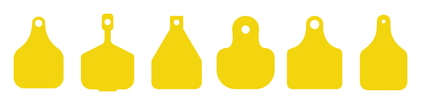 Set of vector ear tags for domestic animals. Cow, cattle yellow ear tags.