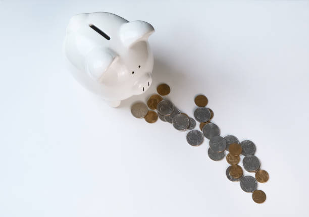 Ceramic Canadian Penny Coin Bank (BS) Ceramic Canadian Penny Coin Bank (BS)