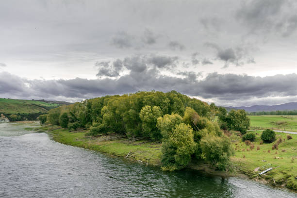 istock Pure nature, New Zealand 1454064981