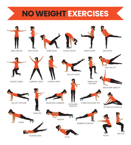 ilustrații de stoc cu nr greutate fitness exerciții - spate de animal