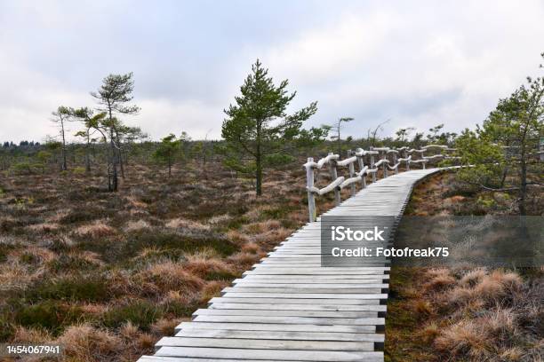 The Black Moor N Of The Bavarian Rhön Stock Photo - Download Image Now - Footpath, Franconia, Baluster