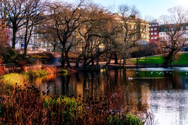 istock Beautiful natural scenery displaying a small lake surrounded by leafless autumn trees in a town 1454068139