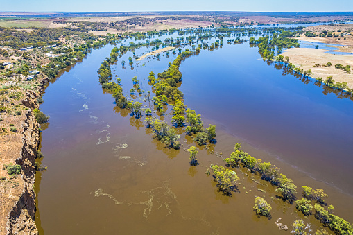 Aerial view of the flooding River Murray and floodplains near Walker Flat in South Australia. Dec 31, 2022. The main channel of the river is to the left of frame with algae floating in the current. A county road with a line of power poles leading the inundated farm  is submerged by the floodwaters. Aruma Resort is high on the cliffs to the left with the rising water spreading across farm land to the right.